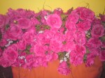 DSC00264